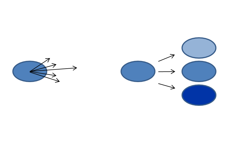 Schema zur Illustration der Unsicherheit bei der Entwicklung von Niederschlagszellen.